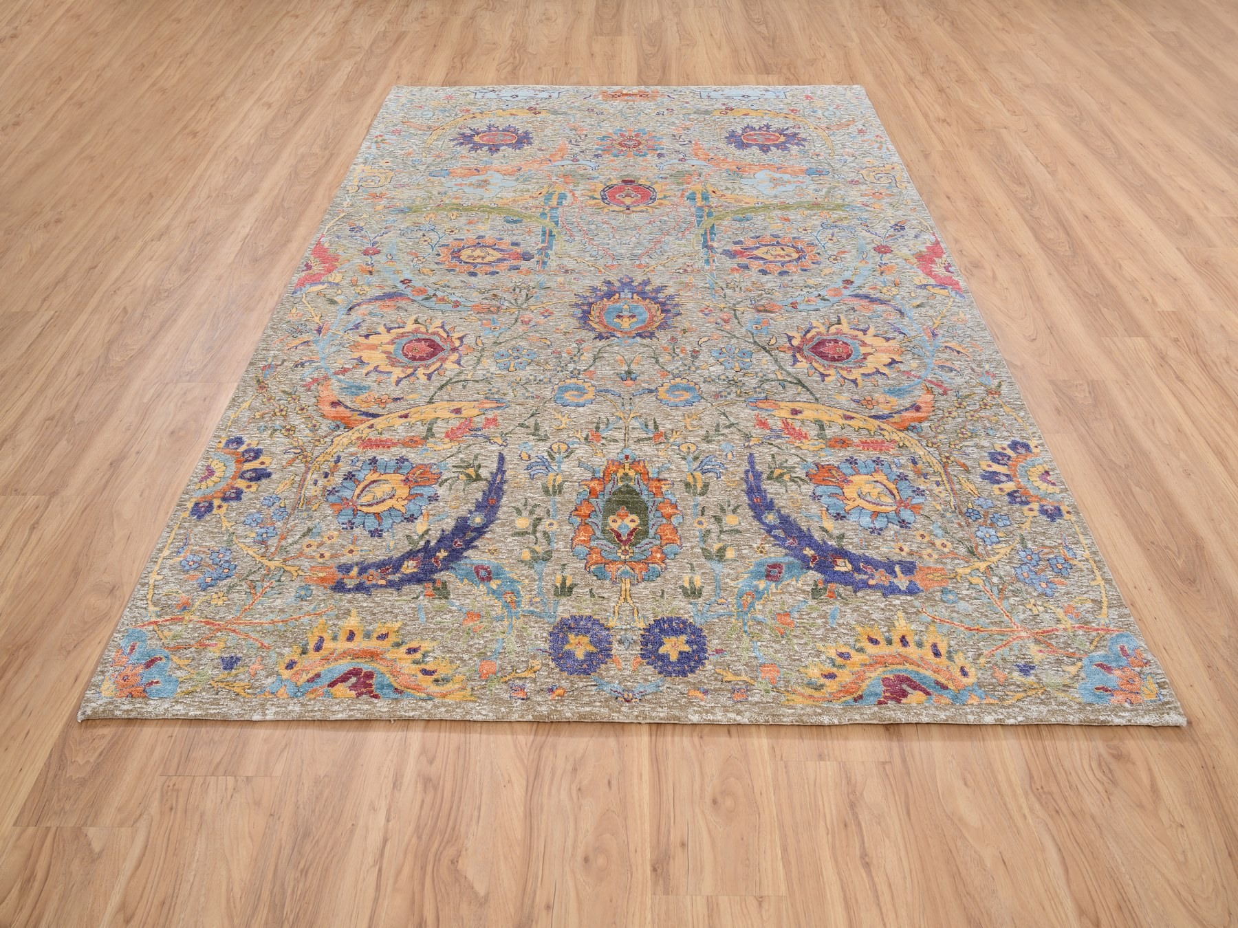 Transitional Rugs LUV568881